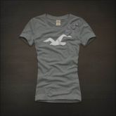 Camiseta Hollister Feminina