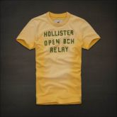 Camiseta Hollister