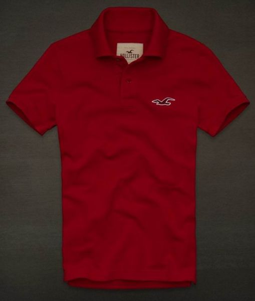 Polo Hollister