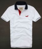 Polo Hollister