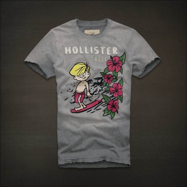 Camiseta Hollister