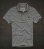 Polo Hollister