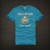 Camiseta Hollister