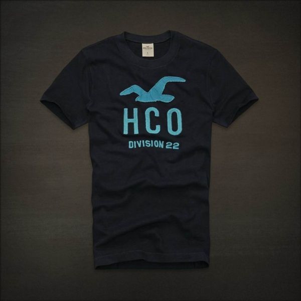 Camiseta Hollister