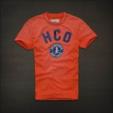 Camiseta Hollister