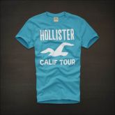 Camiseta Hollister