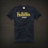 Camiseta Hollister