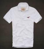 Polo Hollister