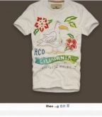 Camiseta Hollister