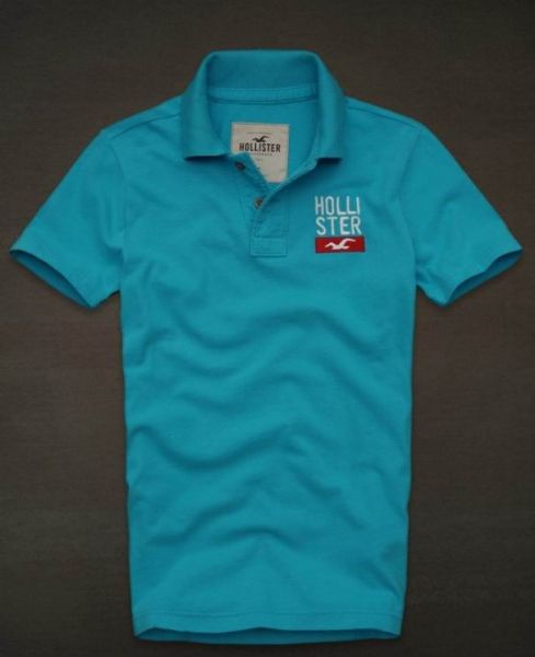 Polo Hollister