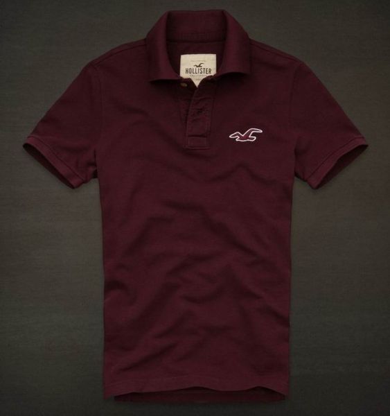 Polo Hollister