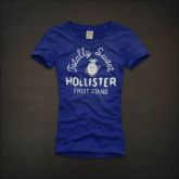 Camiseta Hollister Feminina