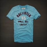 Camiseta Hollister