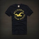 Camiseta Hollister