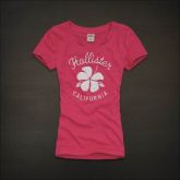 Camiseta Hollister Feminina