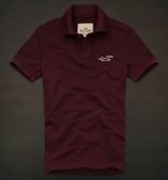 Polo Hollister