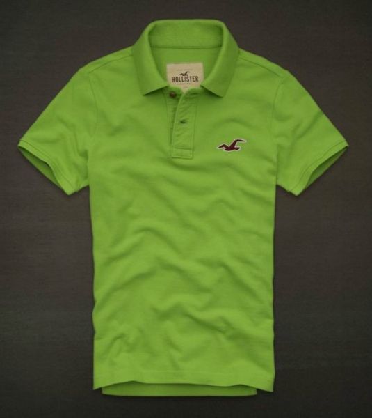 Polo Hollister