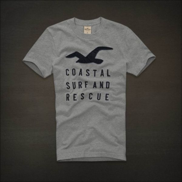 Camiseta Hollister