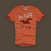 Camiseta Hollister