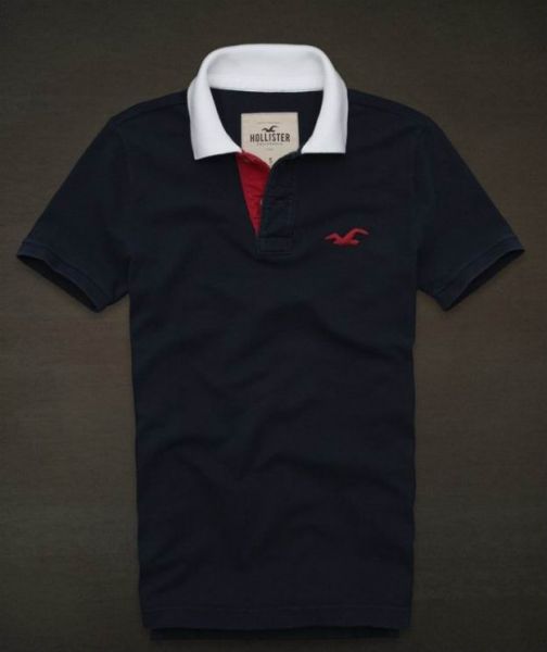 Polo Hollister