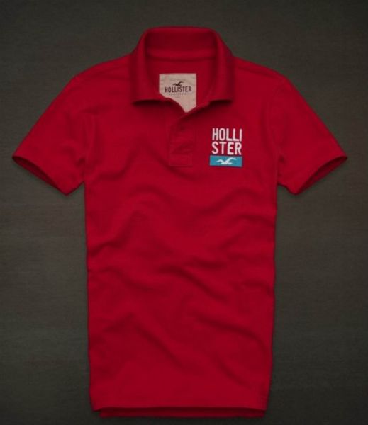 Polo Hollister