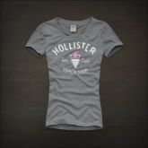 Camiseta Hollister Feminina