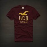 Camiseta Hollister