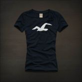 Camiseta Hollister Feminina